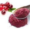 Cranberry powder01502402609