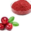 Cranberry powder43385769141