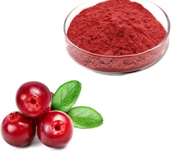 Cranberry powder43385769141