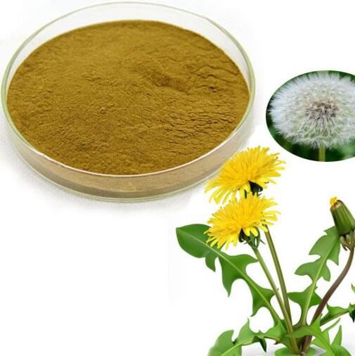 Dandelion leaf powder08096578479