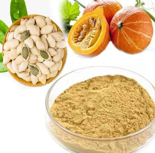 Pumkin extract23394669761