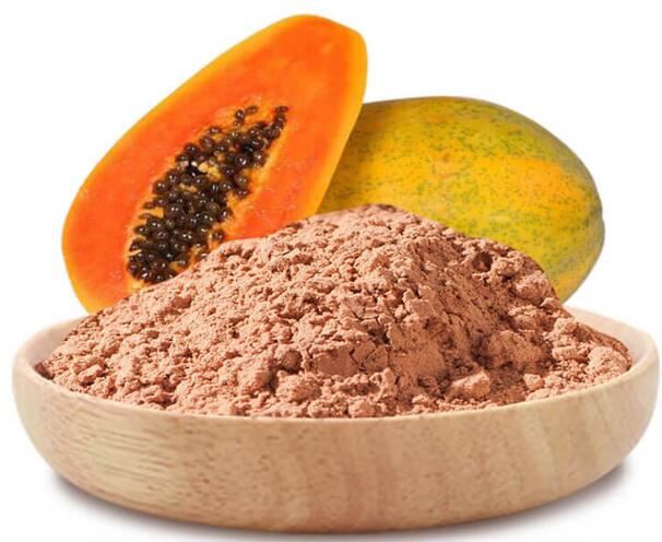 Papaya fruit powder05468320443