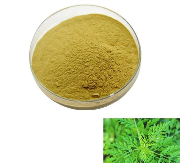 Artemisia annua extract36328570872