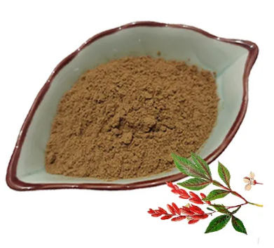 Quassia amara extract07a5f43e 046c 48c2 8d22 0bf907af1f3a
