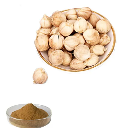 Cardamom seed extract6f3ddcc6 fd71 4861 9883 91a41ec20f1e