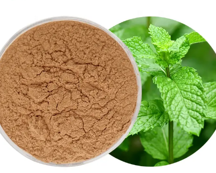 Pure peppermint extracta1c09839 badf 4132 a5fd be20c2ef6f4e