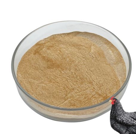 Xylanase enzyme44441914226