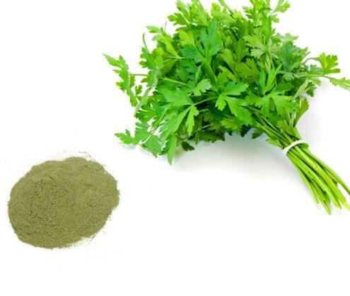 Parsley herb extract41313034346