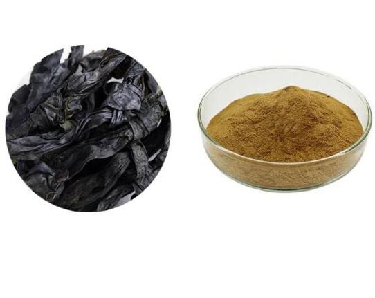 Kelp extract powder34293271447