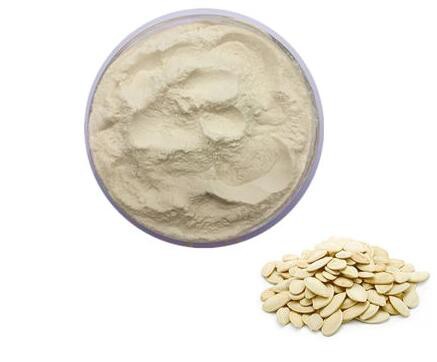 Pumpkin seed powder55077174833