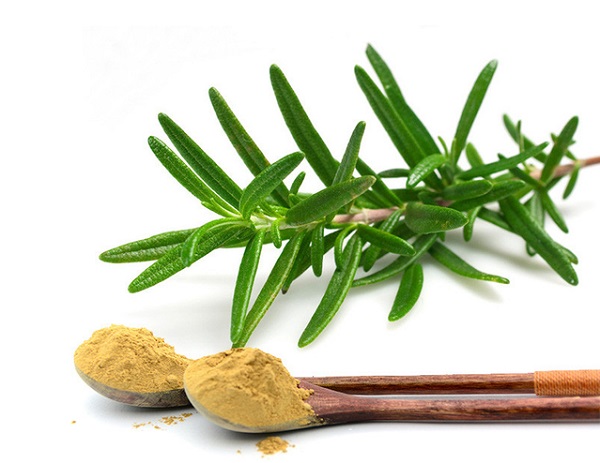 Rosemary Extract