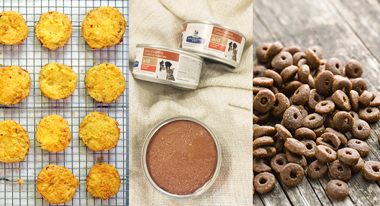 Pumpkin Powder Uses