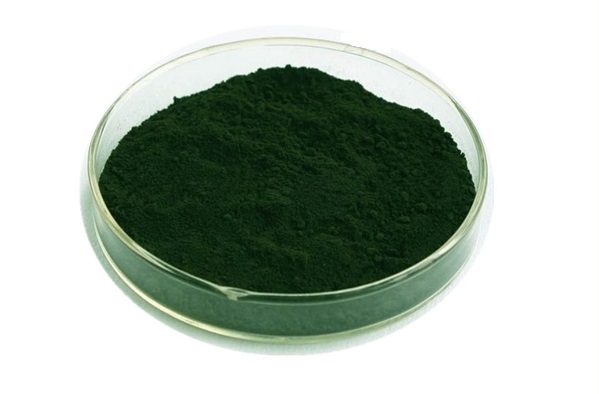 Chlorella Powder