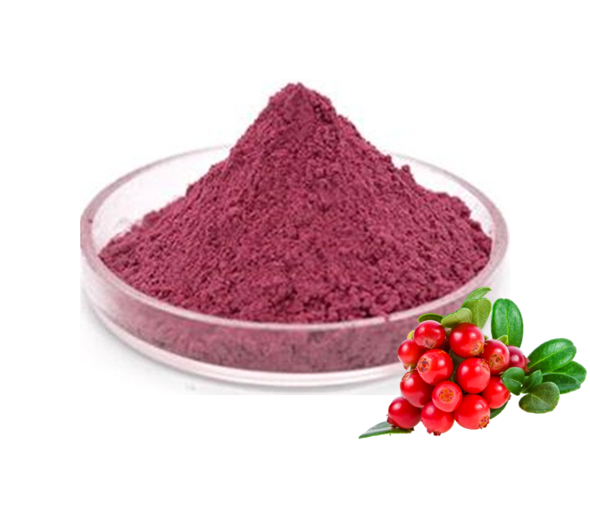 Bilberry powder