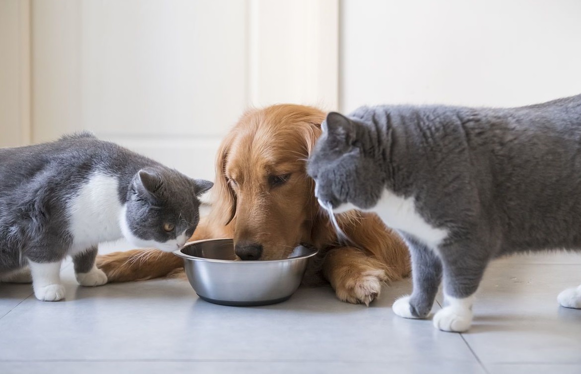 Microencapsulation manufacturer Microencapsulation manufacturer