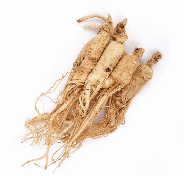 American ginseng root