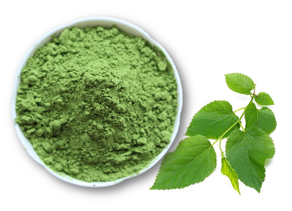 Mulberry Leaf Powder