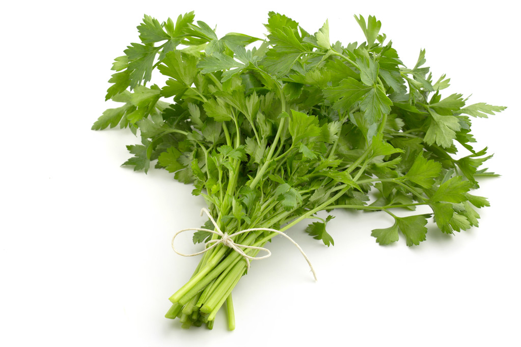 Fresh Parsley