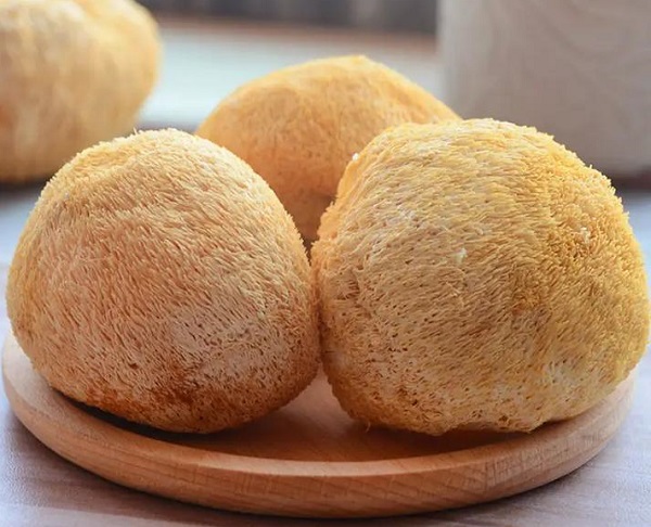Lion’s Mane Mushroom