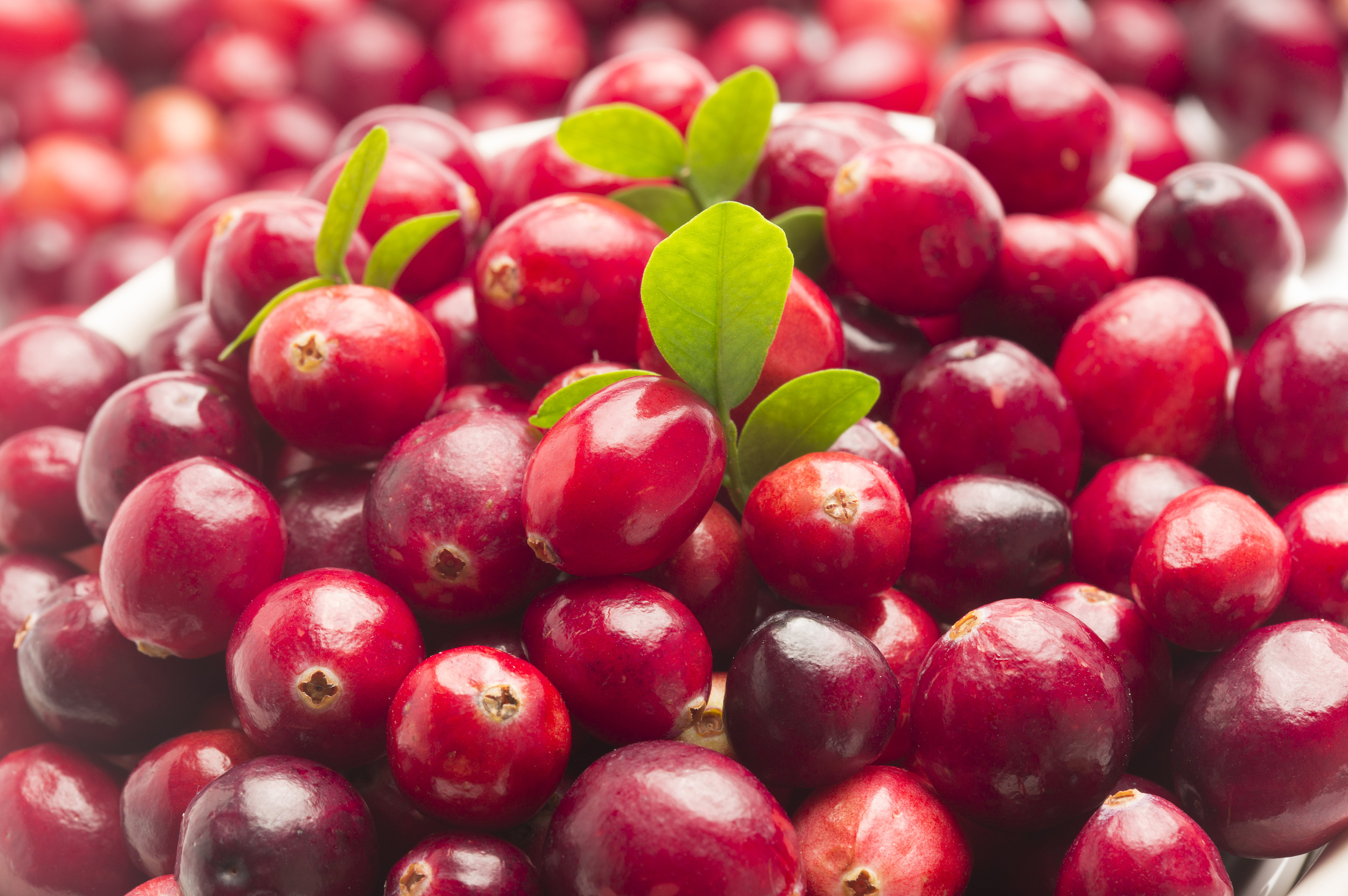 cranberry
