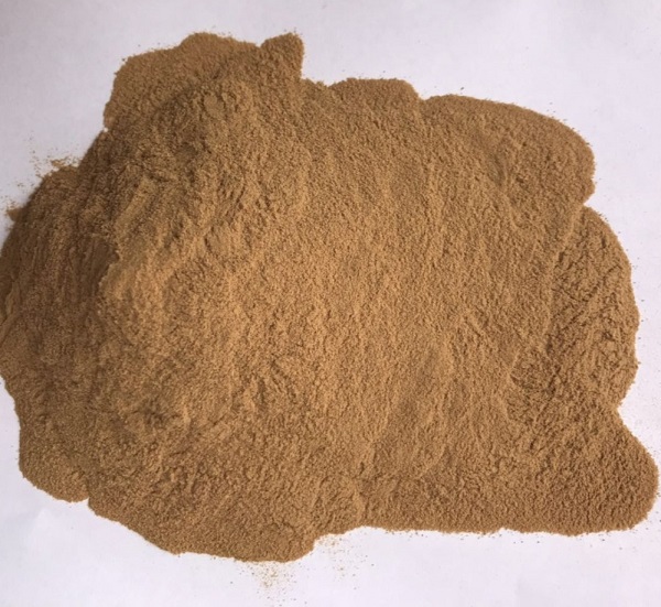 Yeast Hydrolysate Powder