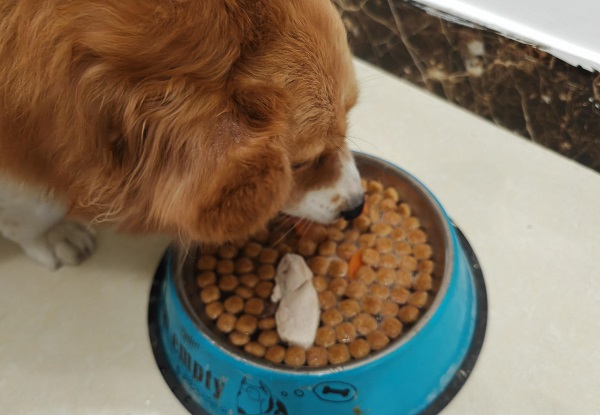 Yeast Extract powder suppllier Yeast Extract powder suppllier