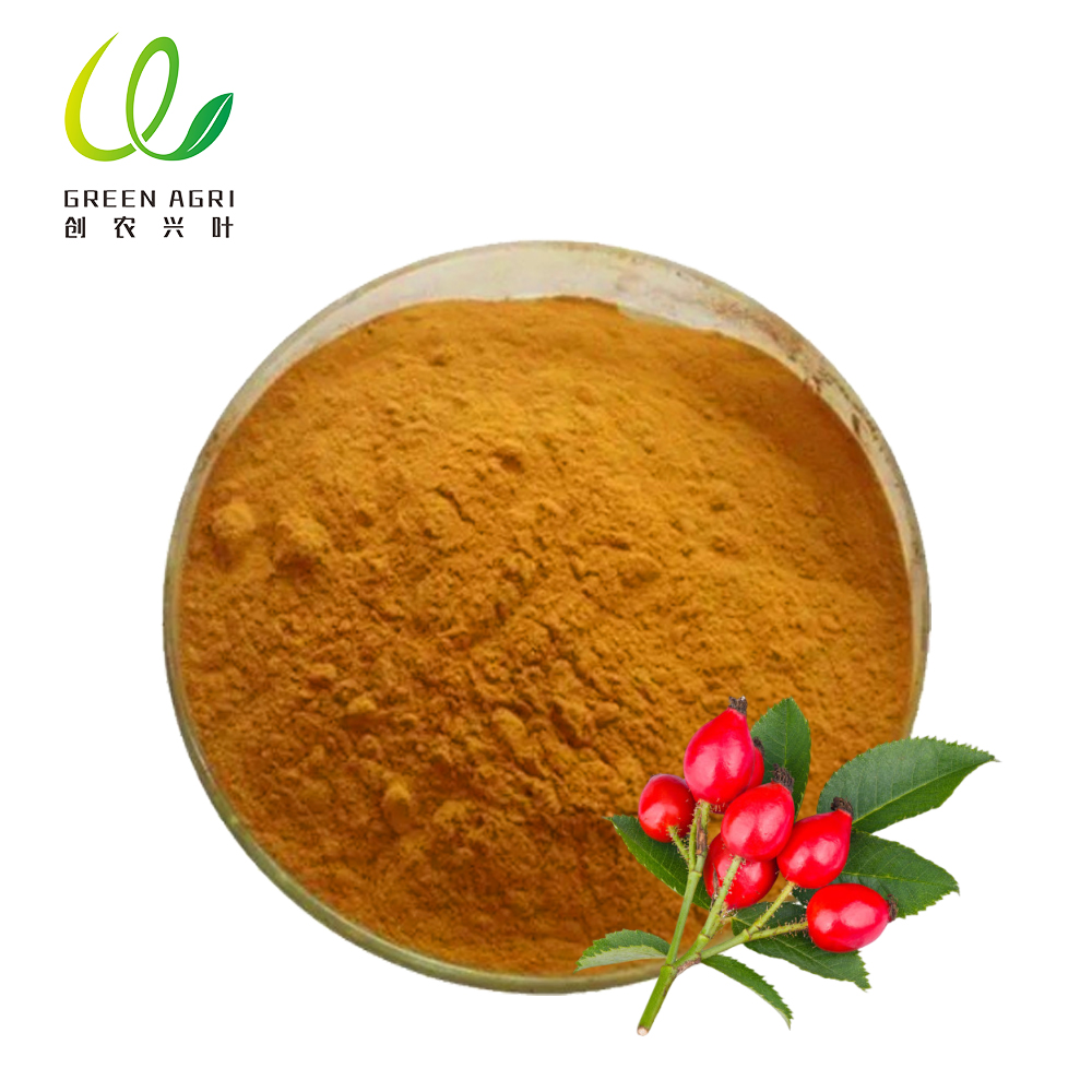 Rosehip Powder Bulk