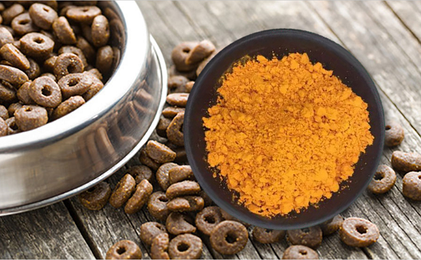 Why Pet Food Brands Are Adding Lutein and Zeaxanthin?