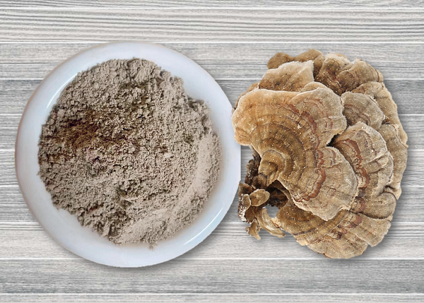 Turkey Tail Mushroom Powder