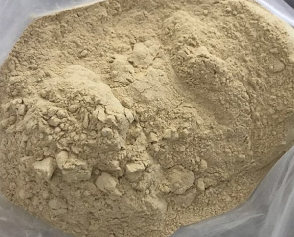 Bacillus subtilis bulk