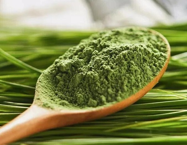 Wholesale Barley Grass Powder for Dogs: US Warehouse $4/kg