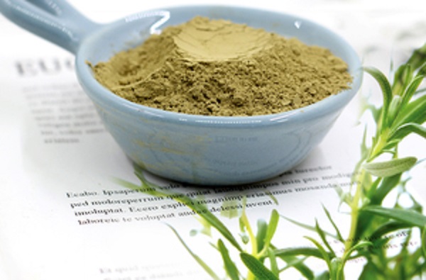 Why Yorkshire Terrier Wet Food Contain Rosemary Extract