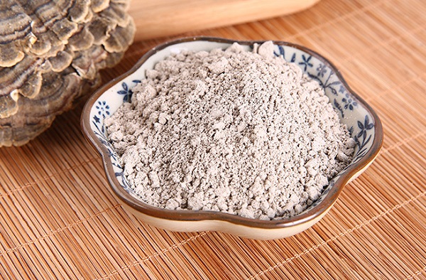 Wholesale Turkey Tail Mushroom Powder Price For Distributors and Importers