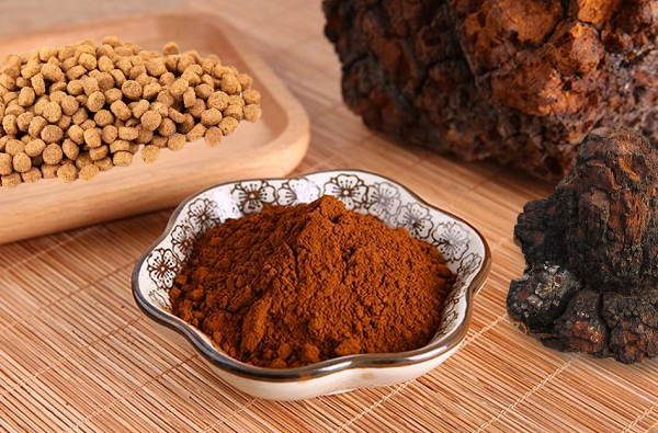 Wholesale Chaga Mushroom Powder For Dogs: The Body Balancer