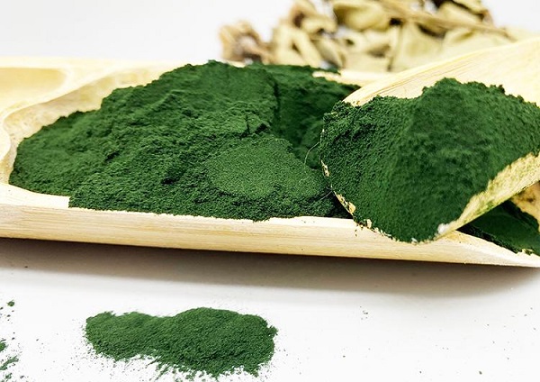 Wholesale Green Spirulina Powder For Dogs: Pet Food Ingredient Suppliers