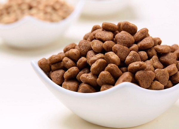 dog food