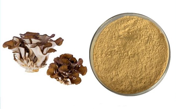 maitake mushroom powder bulk