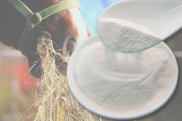 Wholesale L-Histidine Powder Feed Grade 98% Manufacturers Factory Price