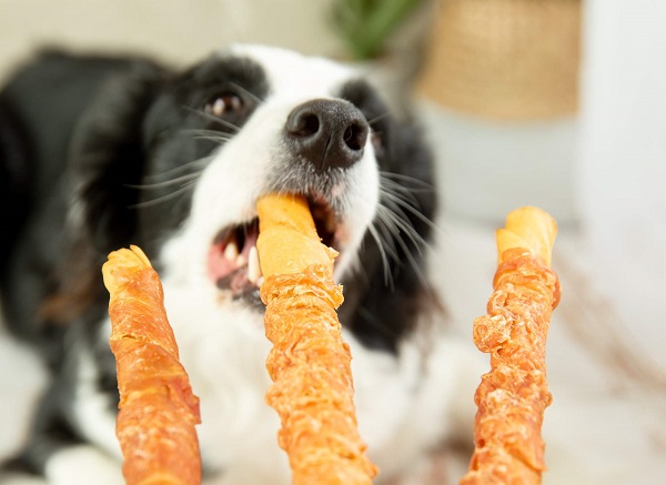 Ac6b8e653b33194e1739e948eed71fa5