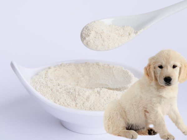 Is Protease Safe For Dog?