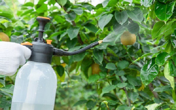 Bulk Toosendanin: For Botanical Pesticide Formulations