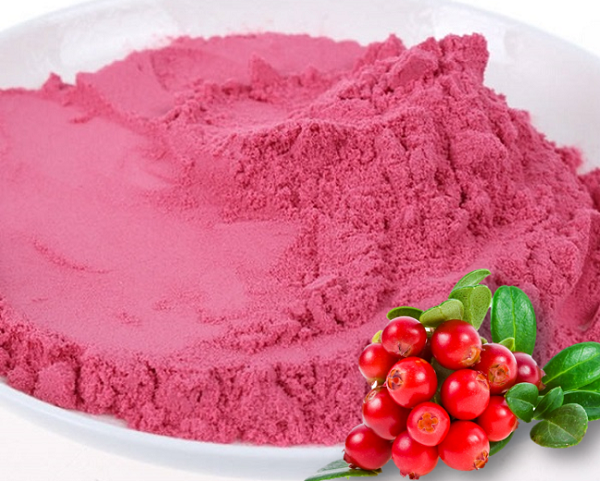 bilberry powder
