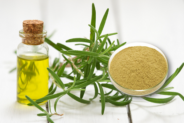 Rosemary Extract Liquid vs. Powder: Uses in Pet Food