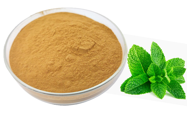 Spearmint extract