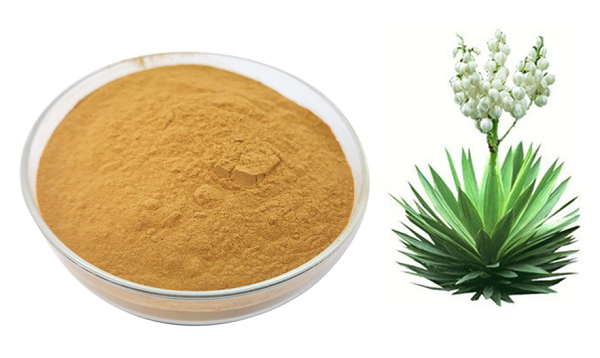 Yucca Schdigera Extract supplier Yucca Schdigera Extract supplier