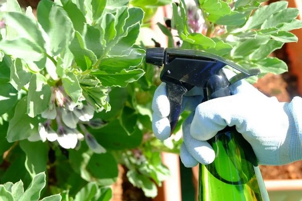 Pyrethrin vs Pyrethroids: Manufacturing and Application Insights