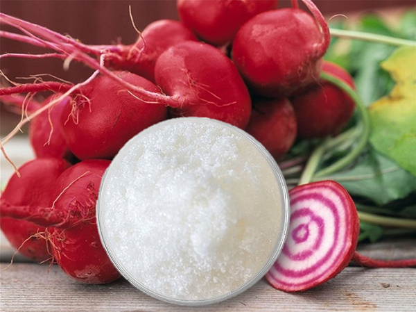 How Betaine Enhances Nutrient Absorption in Dogs and Cats?