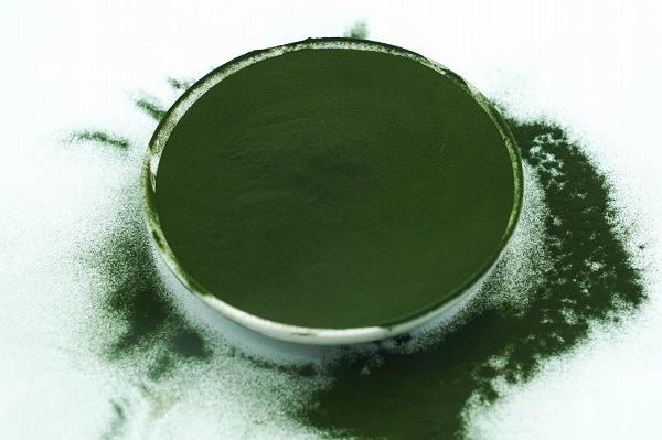 bulk Chlorella powder with a protein content of ≥58%
