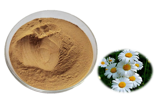Pyrethrum Flower Powder