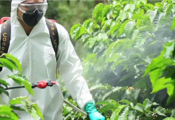 Selecting the Right Pyrethrins Supplier: A Procurement Guide for Pesticide Manufacturers